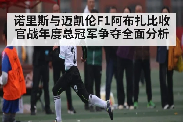 诺里斯与迈凯伦F1阿布扎比收官战年度总冠军争夺全面分析